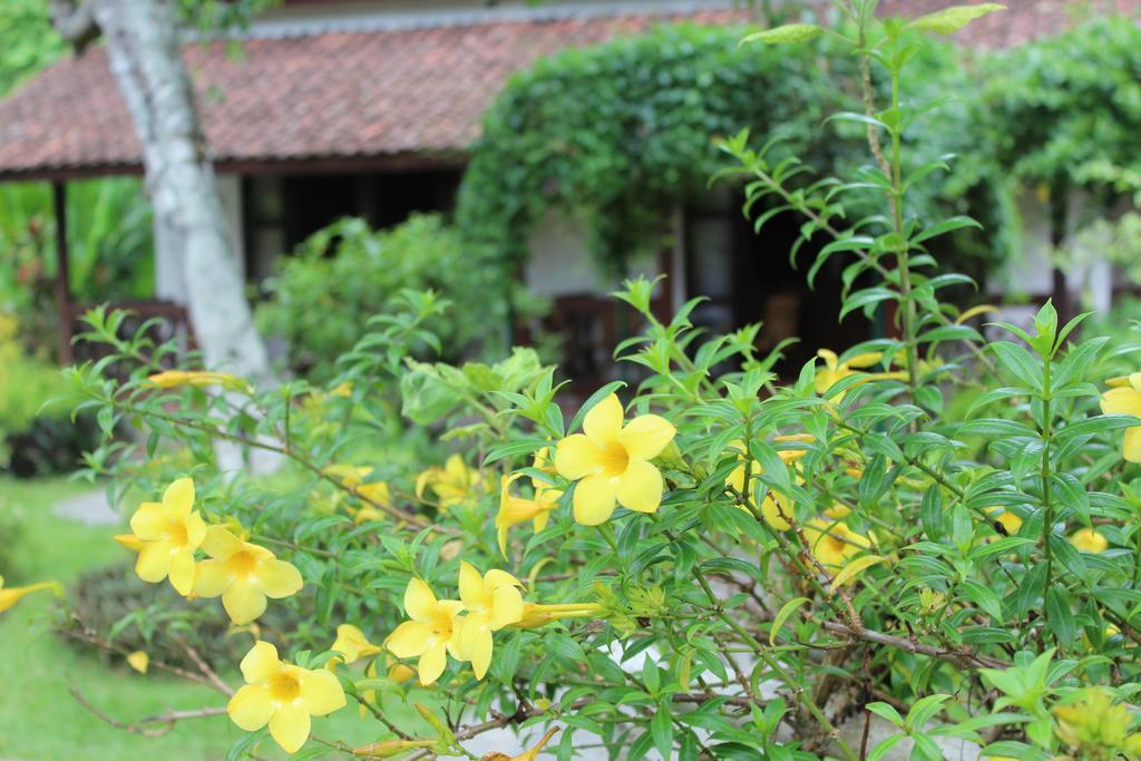 Margo Utomo Eco Resort Kalibaru Екстериор снимка
