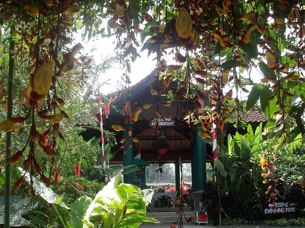 Margo Utomo Eco Resort Kalibaru Екстериор снимка